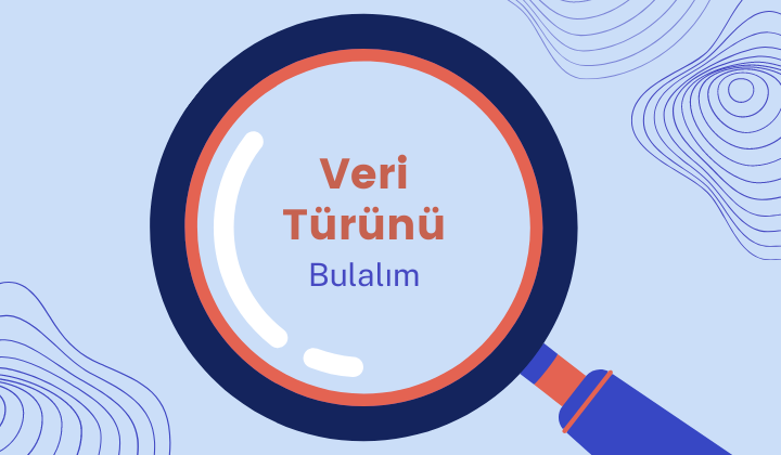 Veri Türünü Bulalım