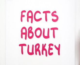 36 - Facts About Turkey-Part A