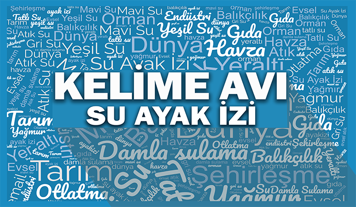 Su ayak izi