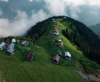 Karadeniz Çayı