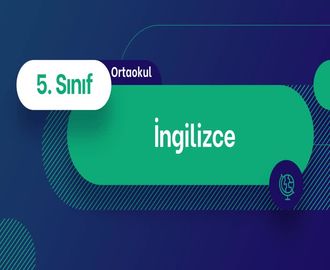 2- -Likes and Dislikes