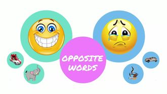 Opposite Words