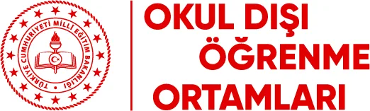 Okul Dışı