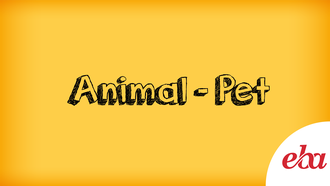 Animal - Pet