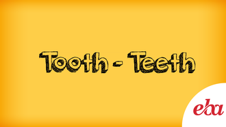 Tooth - Teeth