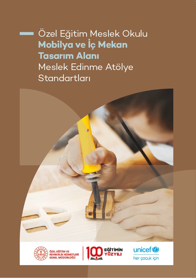 Özel Eğitim Meslek Okulu Mobilya ve İç Mekan Tasarım Alanı Meslek Edinme Atölye Standartları