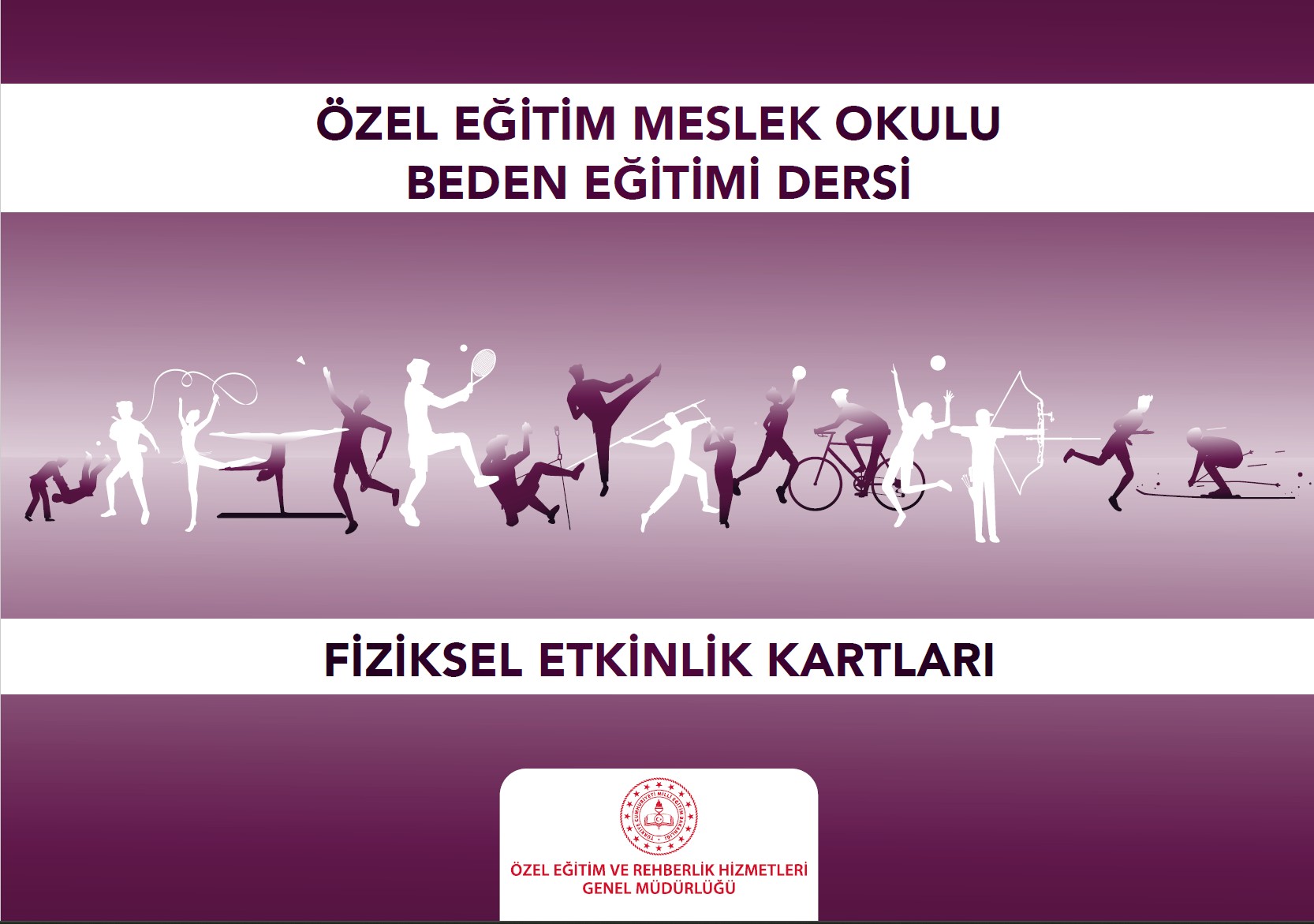 Özel Eğitim Meslek Okulu Beden Eğitimi Dersi Fiziksel Etkinlik Kartları