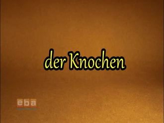der Knochen