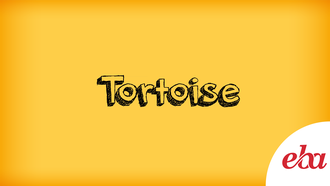 Tortoise