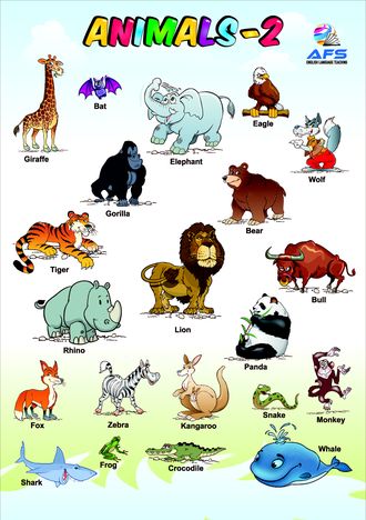 Animals-2
