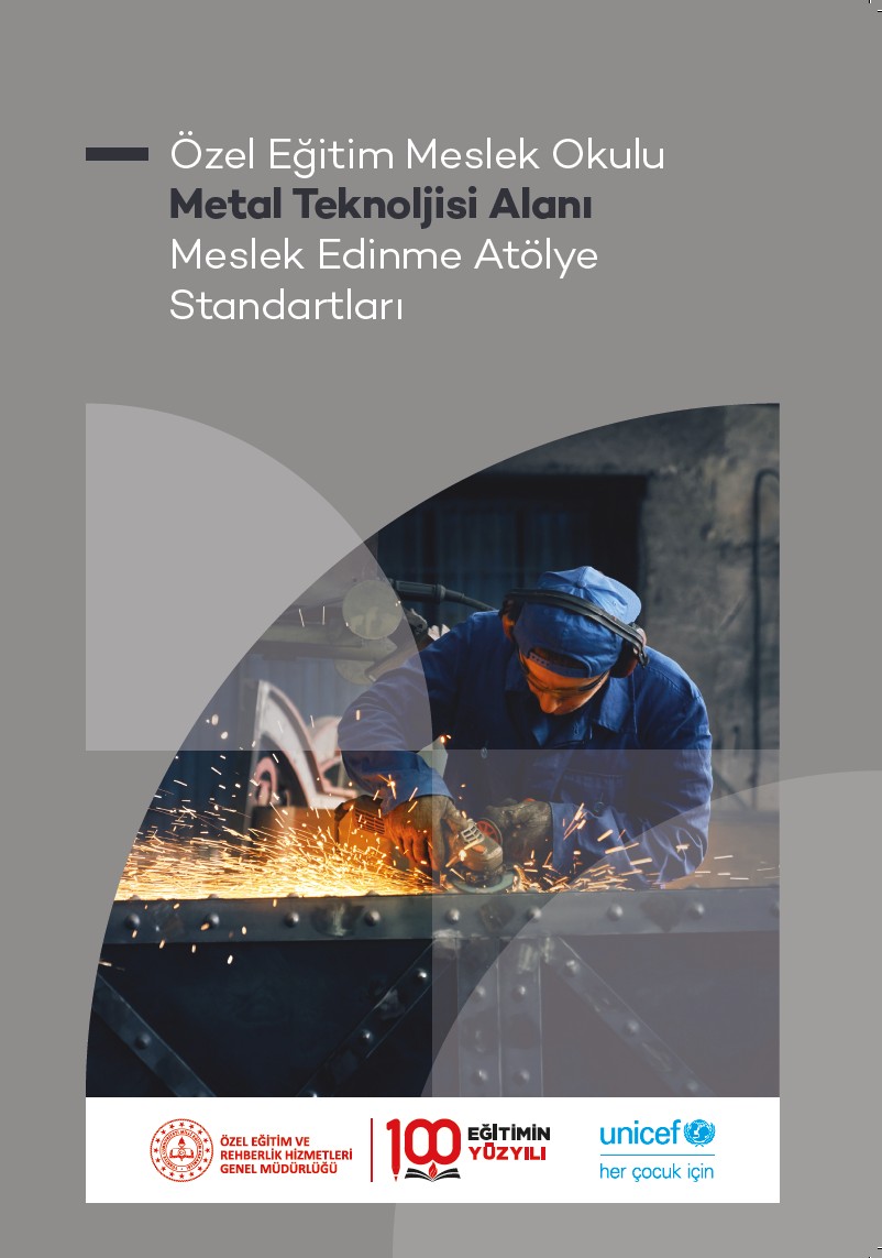 Özel Eğitim Meslek Okulu Metal Teknolojisi Alanı Meslek Edinme Atölye Standartları