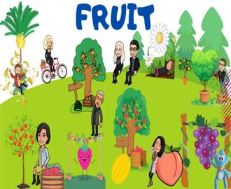Fruits