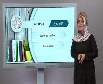 Kısa Sesler 2