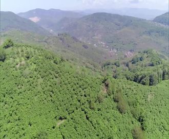 Kurucaşile