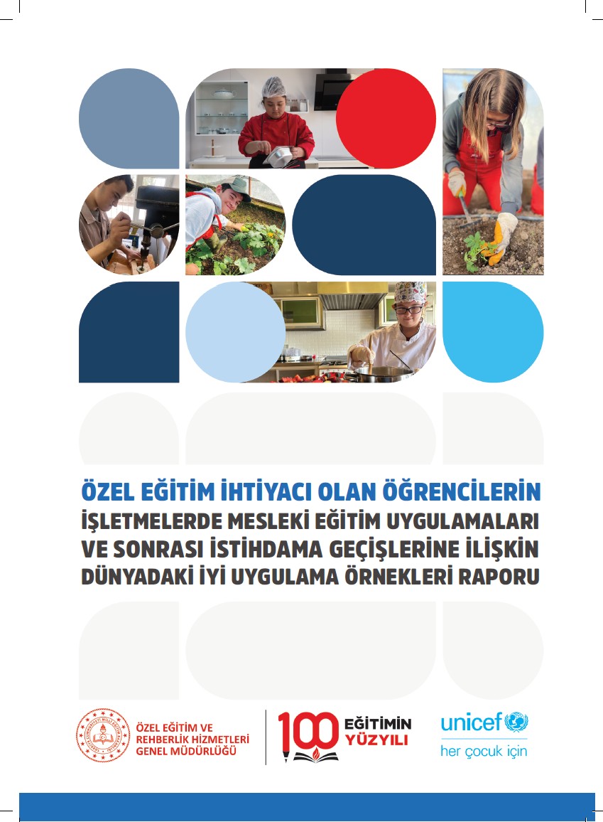 Özel Eğitim İhtiyacı Olan Öğrencilerin İşletmelerde Mesleki Eğitim Uygulamaları ve Sonrası İstihdama Geçişlerine İlişkin Dünyadaki İyi Uygulama Örnekleri Raporu