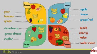 Fruits