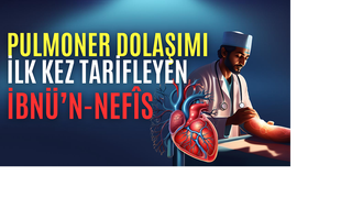 İbnünnefis