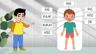 Vücudumuz