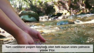 Dünyada Su Kaynaklarının Durumu
