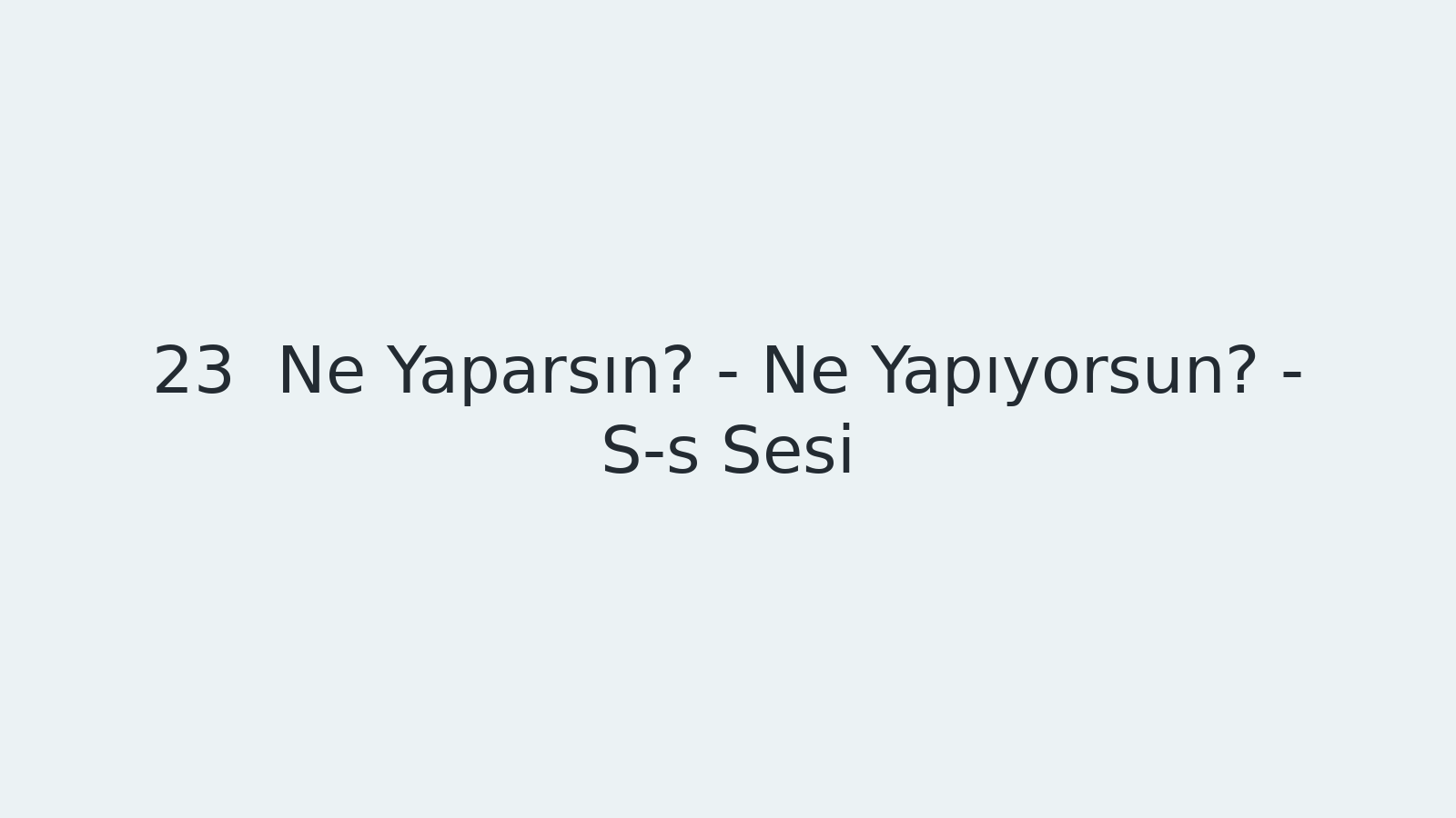 "Ne Yaparsın? - Ne Yapıyorsun? - S-s Sesi EBA TV - Yabancı Öğrenciler için Türkçe Dersi 11.11.2020 tarihli yayın içeriğidir."