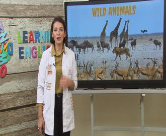 25 - Wild Animals - 2