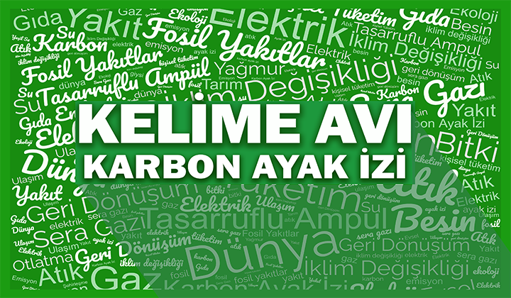 karbon ayak izi