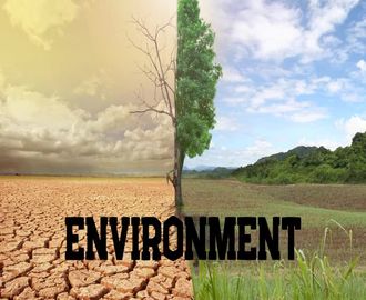 74 - Environment