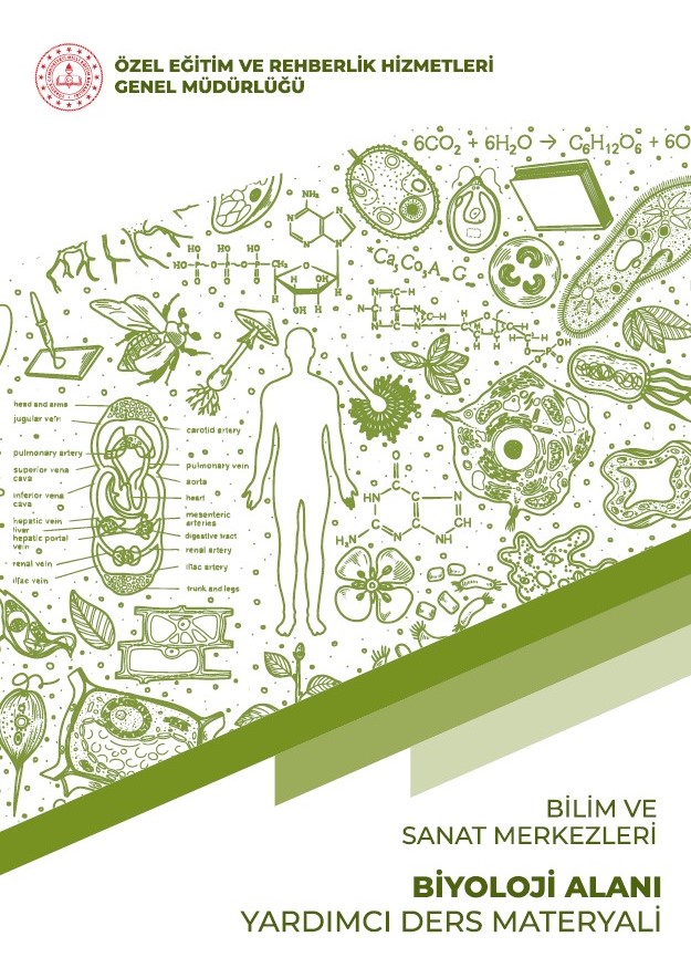Bilim ve Sanat Merkezleri - Biyoloji Alanı