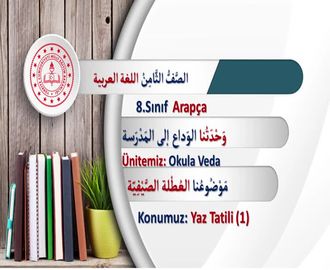 Yaz Tatili 1