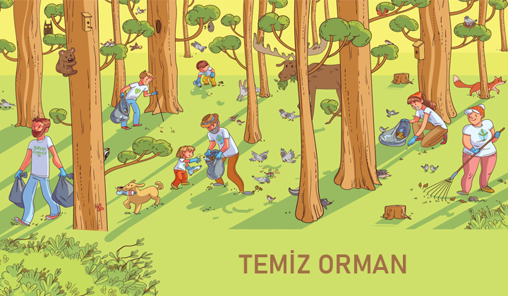 Temiz Orman Çöpşeri Bul ve Ayrıştır
