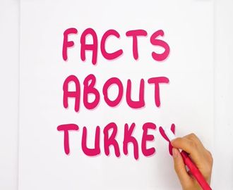 38 - Facts About Turkey-Part B