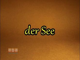 der See
