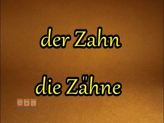 der Zahn - die Zâhne