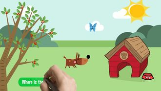 Where Is the Butterfly?