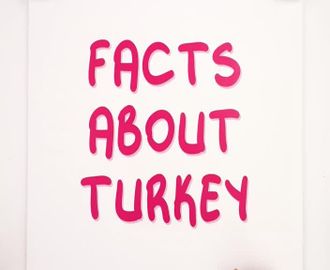 40 - Facts about Turkey-Workbook