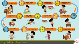 My Daily Routine
