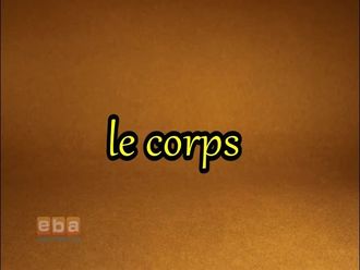 le corps