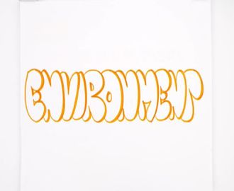 78 - Environment 1