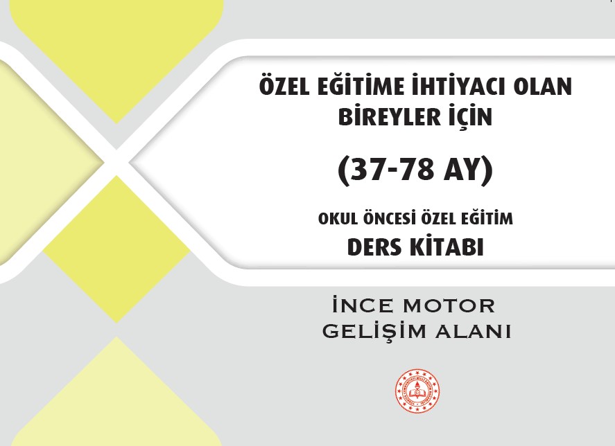 İnce Motor Gelişim Alanı