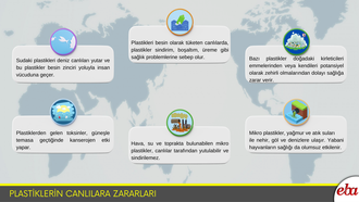 Plastiklerin Canlılara Zararları