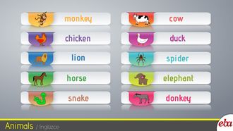Animals