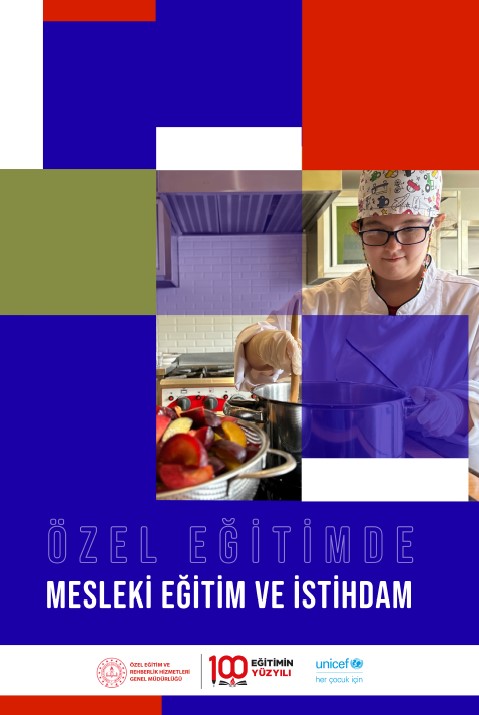 Özel Eğitimde Mesleki Eğitim ve İstihdam