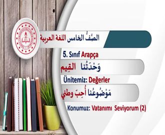 Vatanımı Seviyorum 2