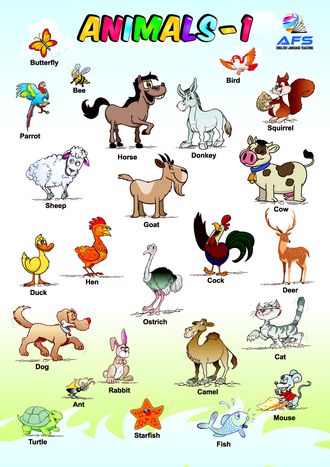 Animals-1