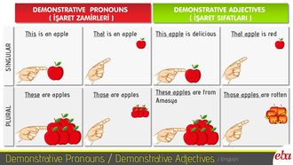 Demonstrative Pronouns - Demon...