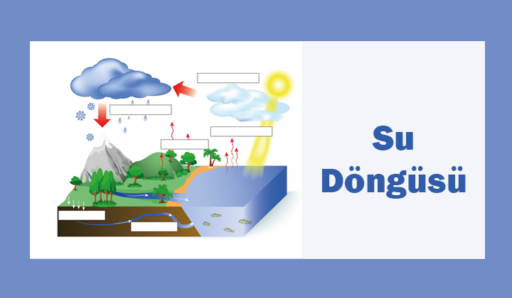 Su Döngüsü