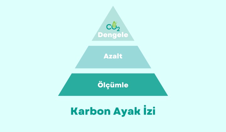 Karbon Ayakizi