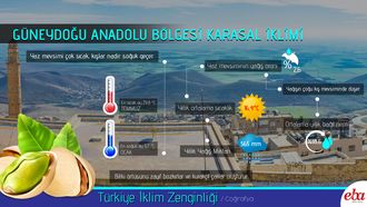 Güneydoğu Anadolu Karasal İklimi
