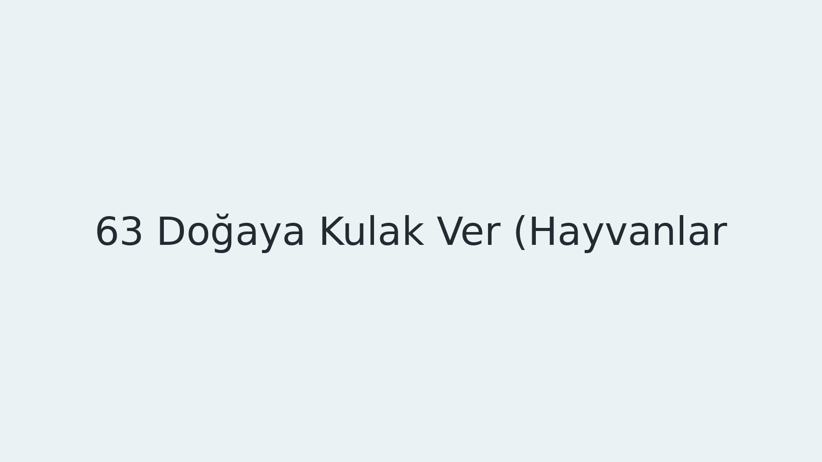 "Doğaya Kulak Ver (Hayvanlar) EBA TV - Yabancı Öğrenciler İçin Türkçe 04.06.2021tarihli yayın içeriğidir."