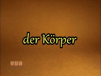der Körper